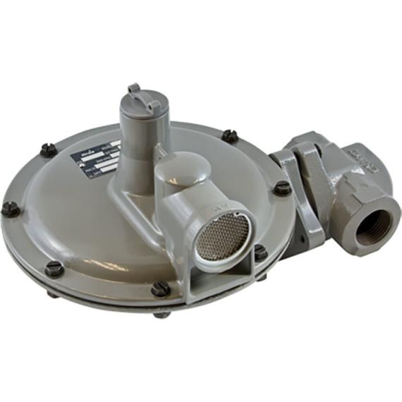 B31 Regulator